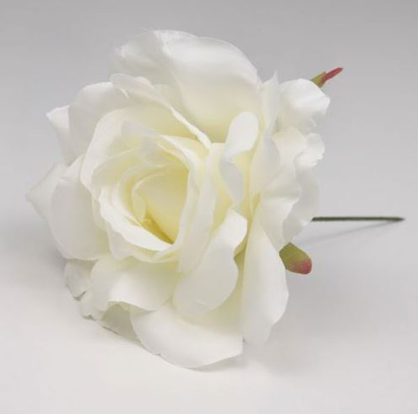 Small Rose Cadiz. 10cm. White